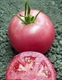Семена томата розового (высокорослого)