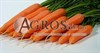 Семена моркови Лагуна F1 калибр 1,6-1,8 100 000 шт - фото 10035