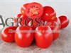 Семена томат Адванс F1 1000 шт - фото 8964