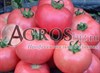 Семена томата Димероза F1 500 шт - фото 9173