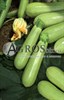Семена кабачка Джетта F1 1000 шт - фото 9392