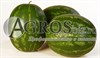 Семена арбуза Каристан F1 1000 шт - фото 9581